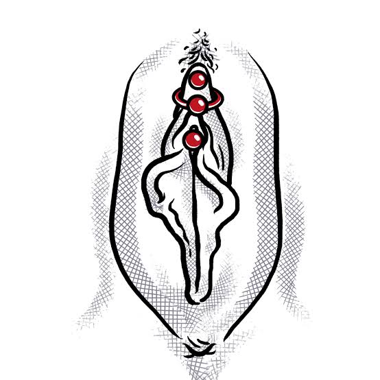 Piercing genitales