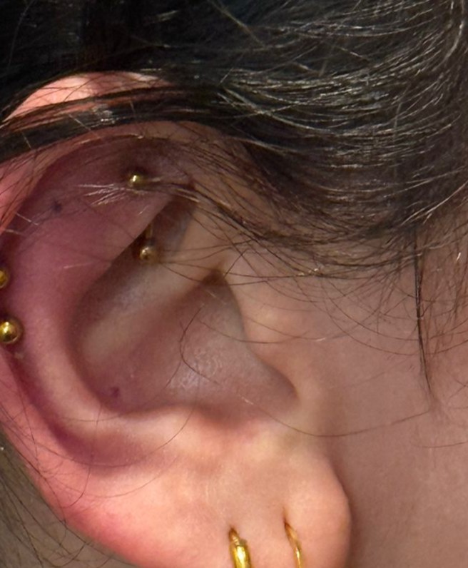 Piercing rook
